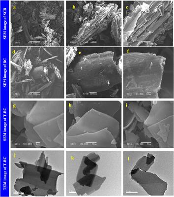 Agrowaste-generated biochar for the sustainable remediation of refractory pollutants